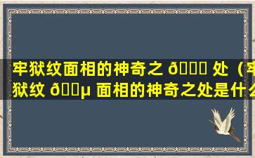 牢狱纹面相的神奇之 🐋 处（牢狱纹 🐵 面相的神奇之处是什么）